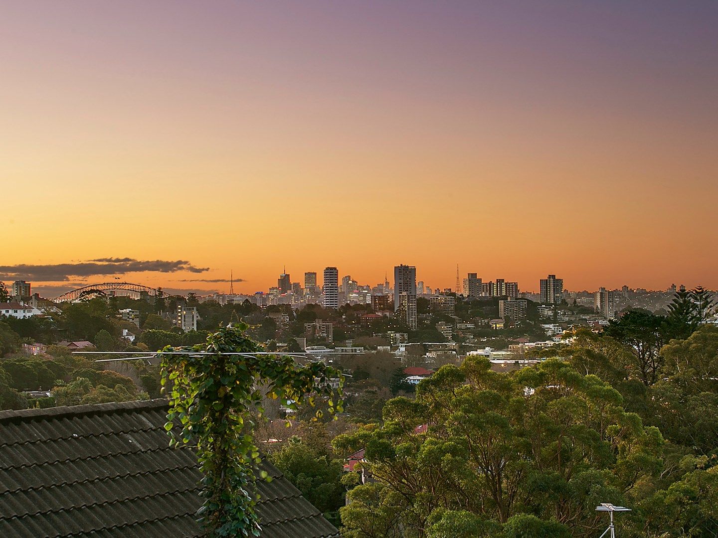 36  View Street, Woollahra NSW 2025, Image 0