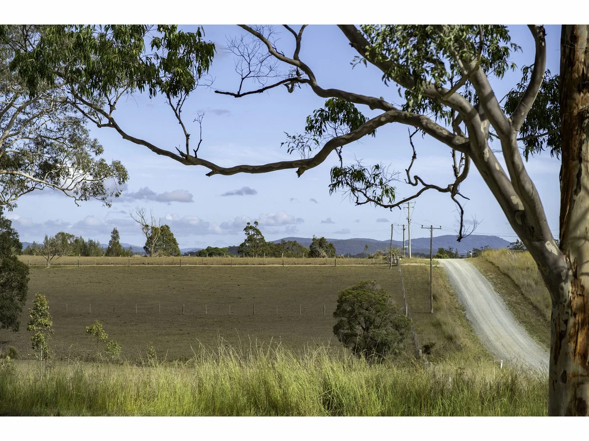 Image 13