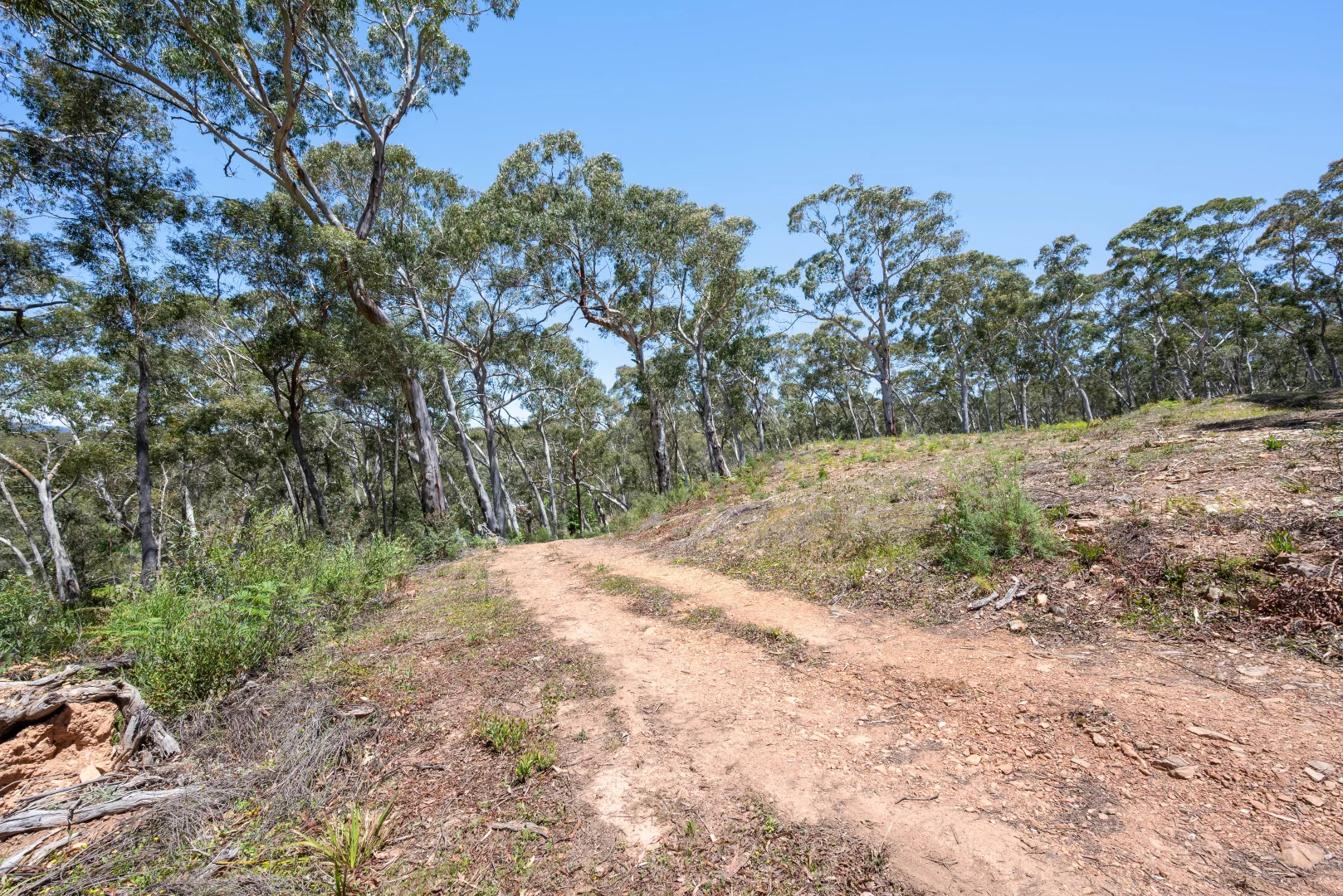 Image 14