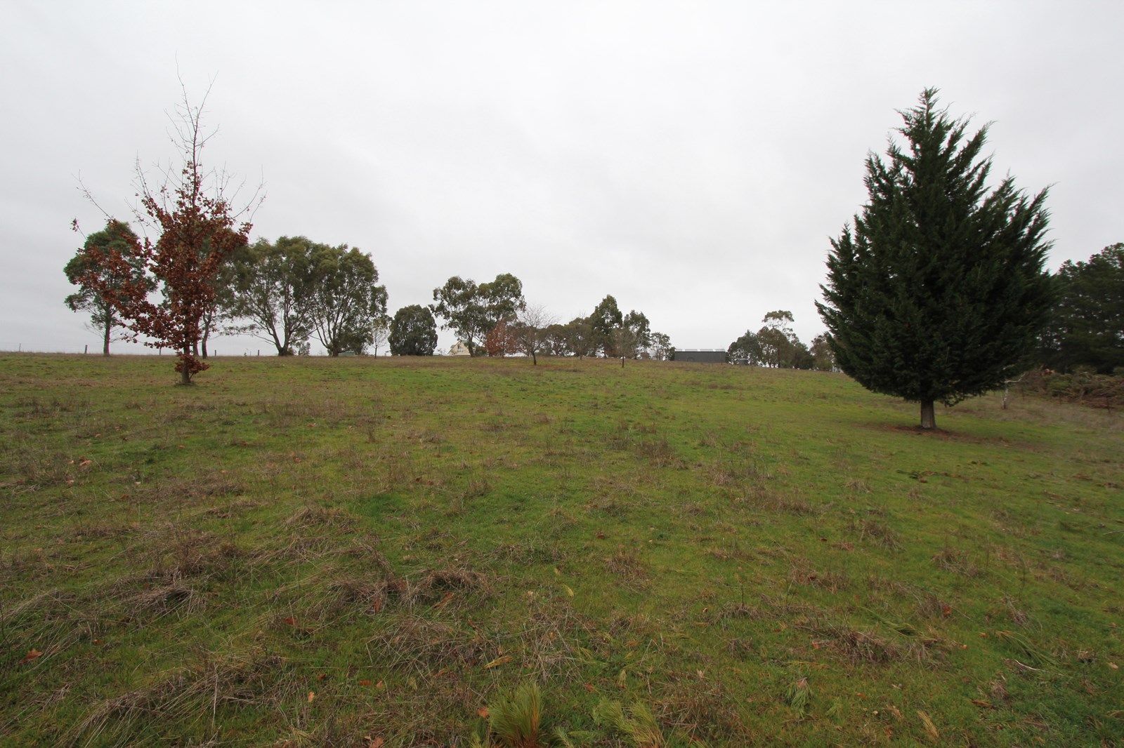 Lot 2 Golf Course Lane, Beaufort VIC 3373, Image 2