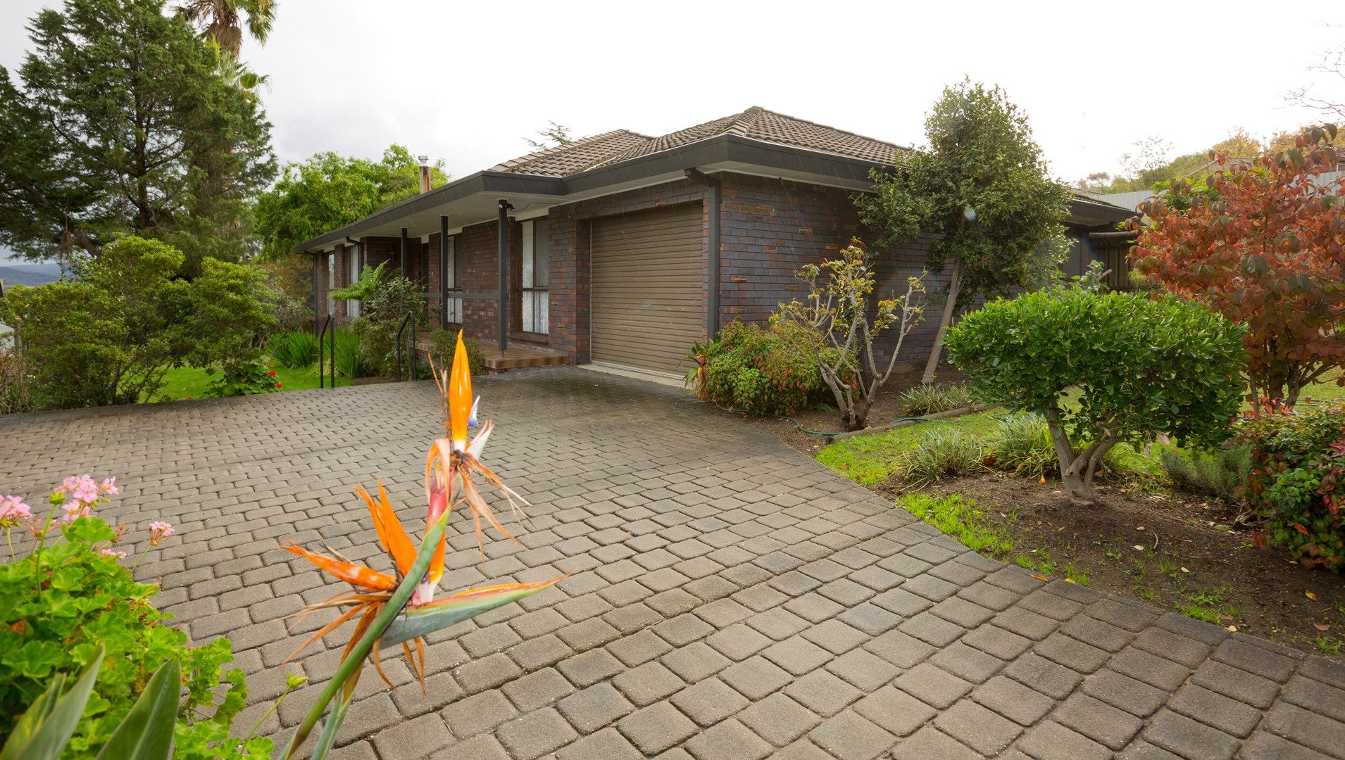 1 Bandalong Road, Springdale Heights NSW 2641, Image 0