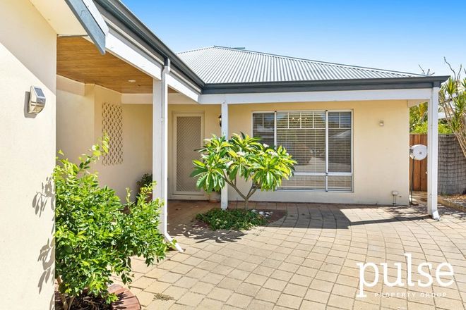 Picture of 3/42 Barbican Street West, SHELLEY WA 6148