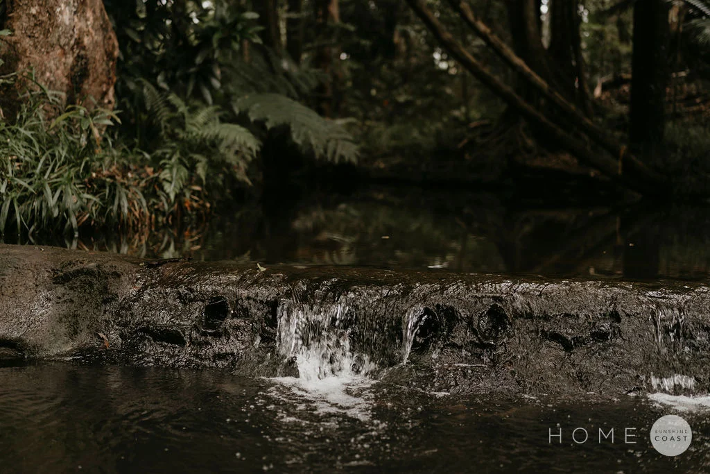 Additional image 18 of 1/161 Mooloolaba Road, Buderim QLD 4556