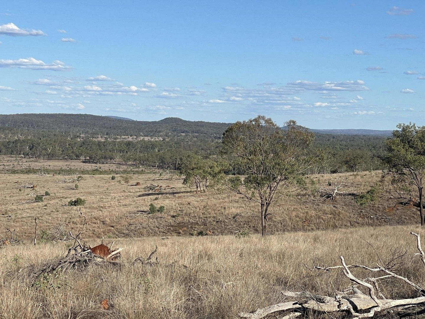Eidsvold QLD 4627 Livestock Property for Sale 1,500,000 Domain