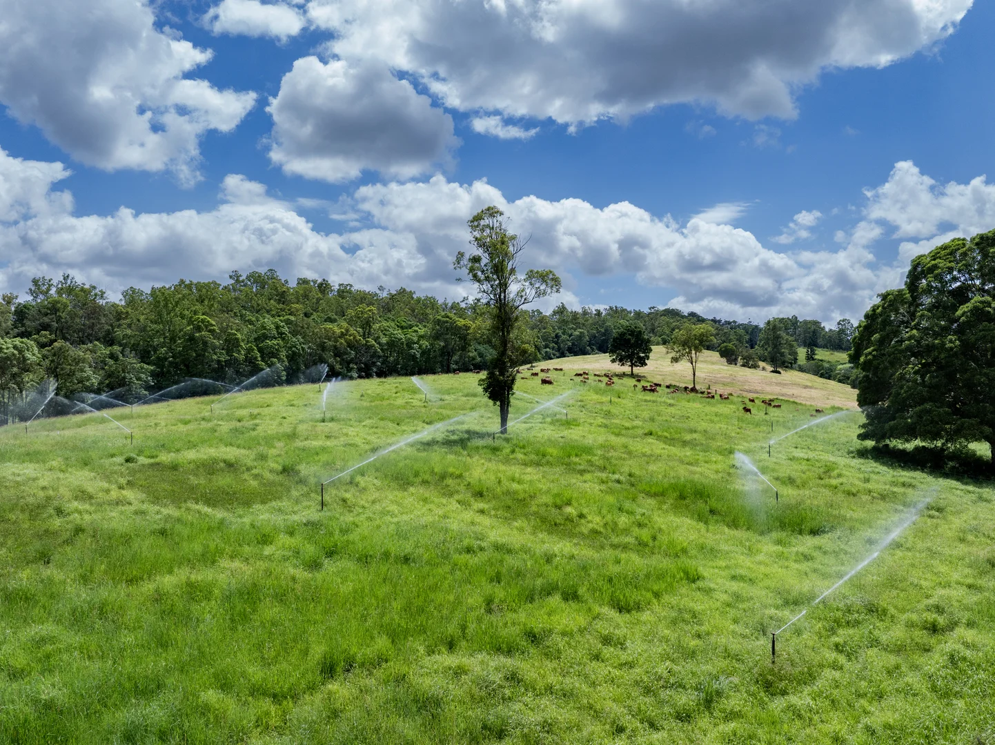 Additional image 15 of 273 Mooloo Road, Mooloo QLD 4570