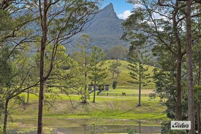 Picture of 328 Back Creek Road, BACK CREEK NSW 2484