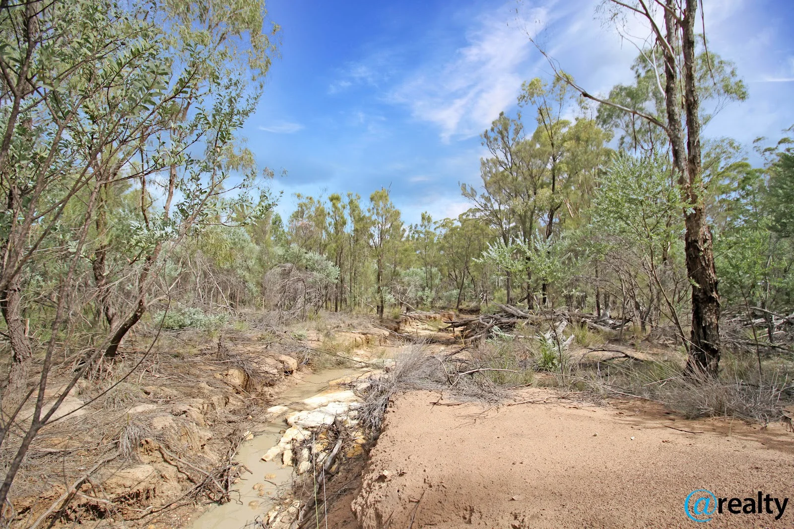 Image 19
