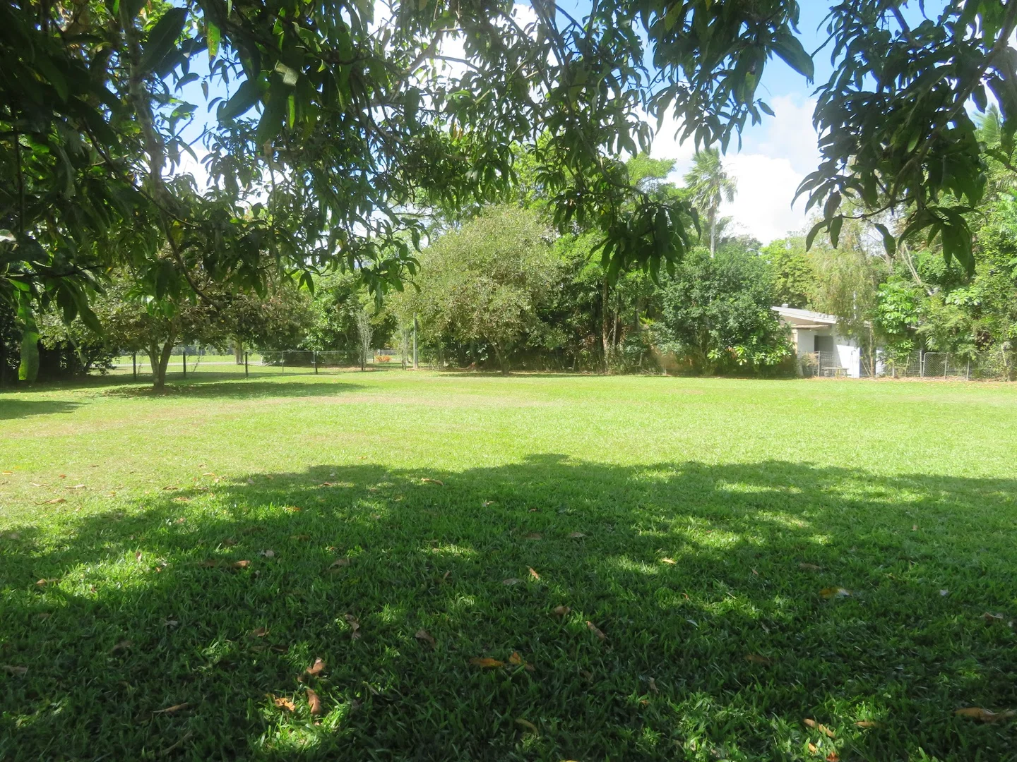 Image 12