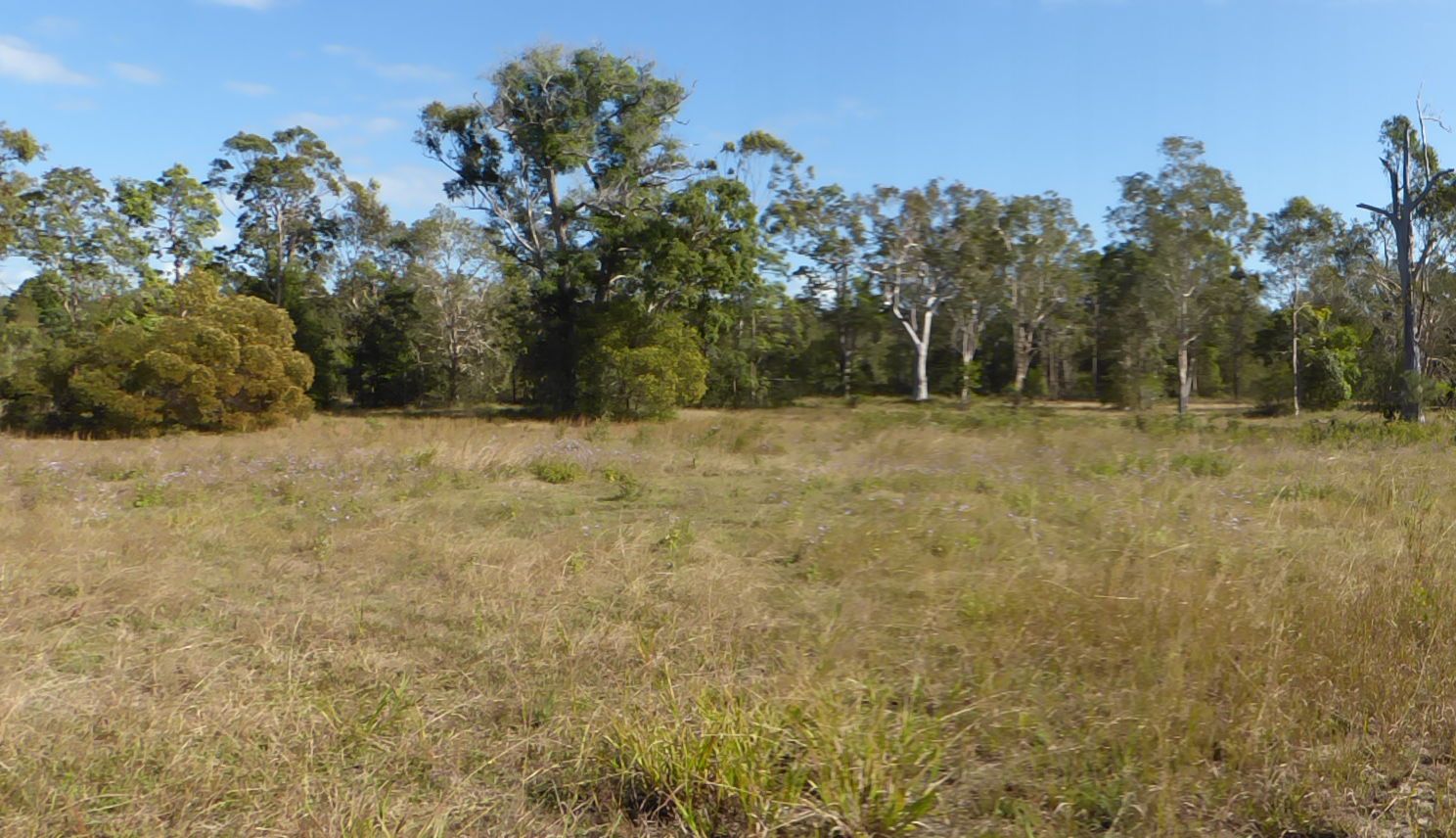 Lot 80 Lancaster Lane, Cooroibah QLD 4565, Image 1