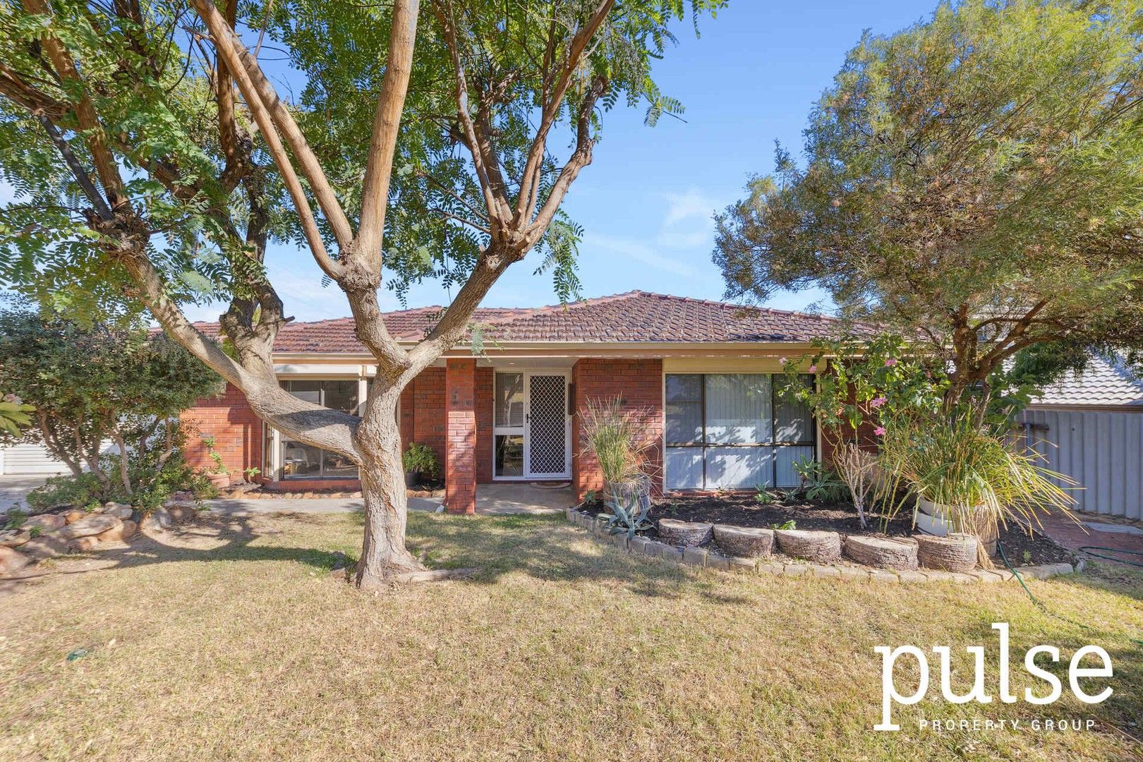 11 Tangney Crescent, Samson WA 6163, Image 0