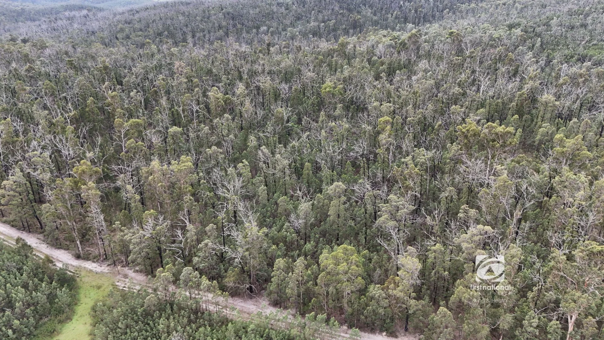 Additional image 11 of Lot 1/303 Basin Road, Buchan VIC 3885