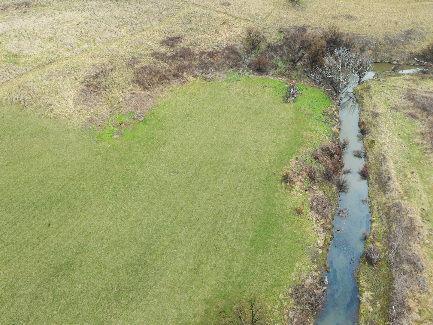 437 Swallows Nest Road Mount David, Bathurst NSW 2795 Vacant Land for