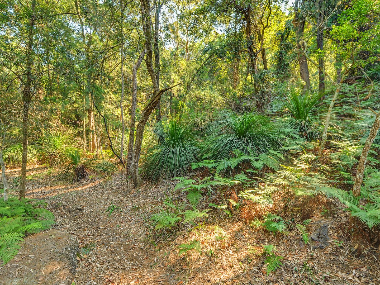 Lot 6 Big Jims Point, Bar Point NSW 2083, Image 1