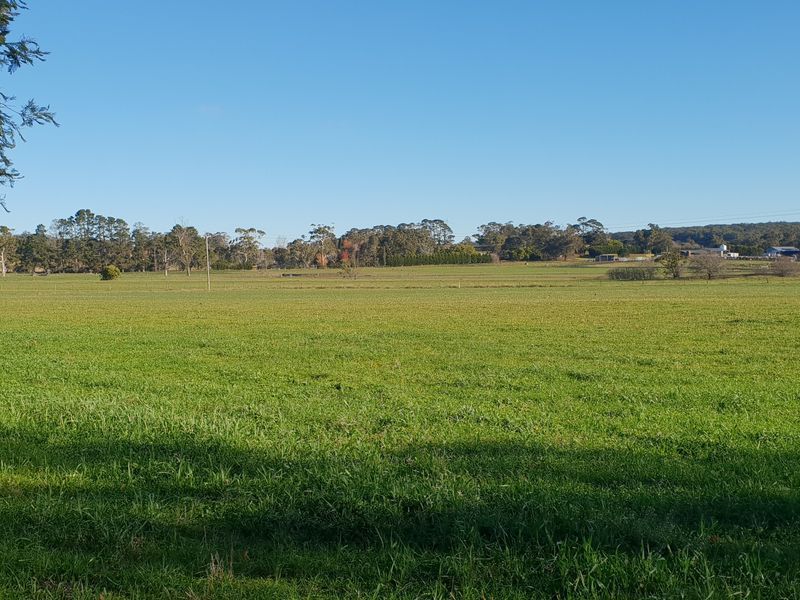 Lot 3 Sheepwash Road, Avoca NSW 2577, Image 2