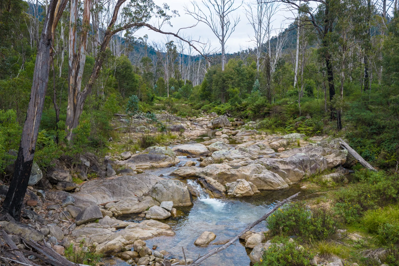 Image 33