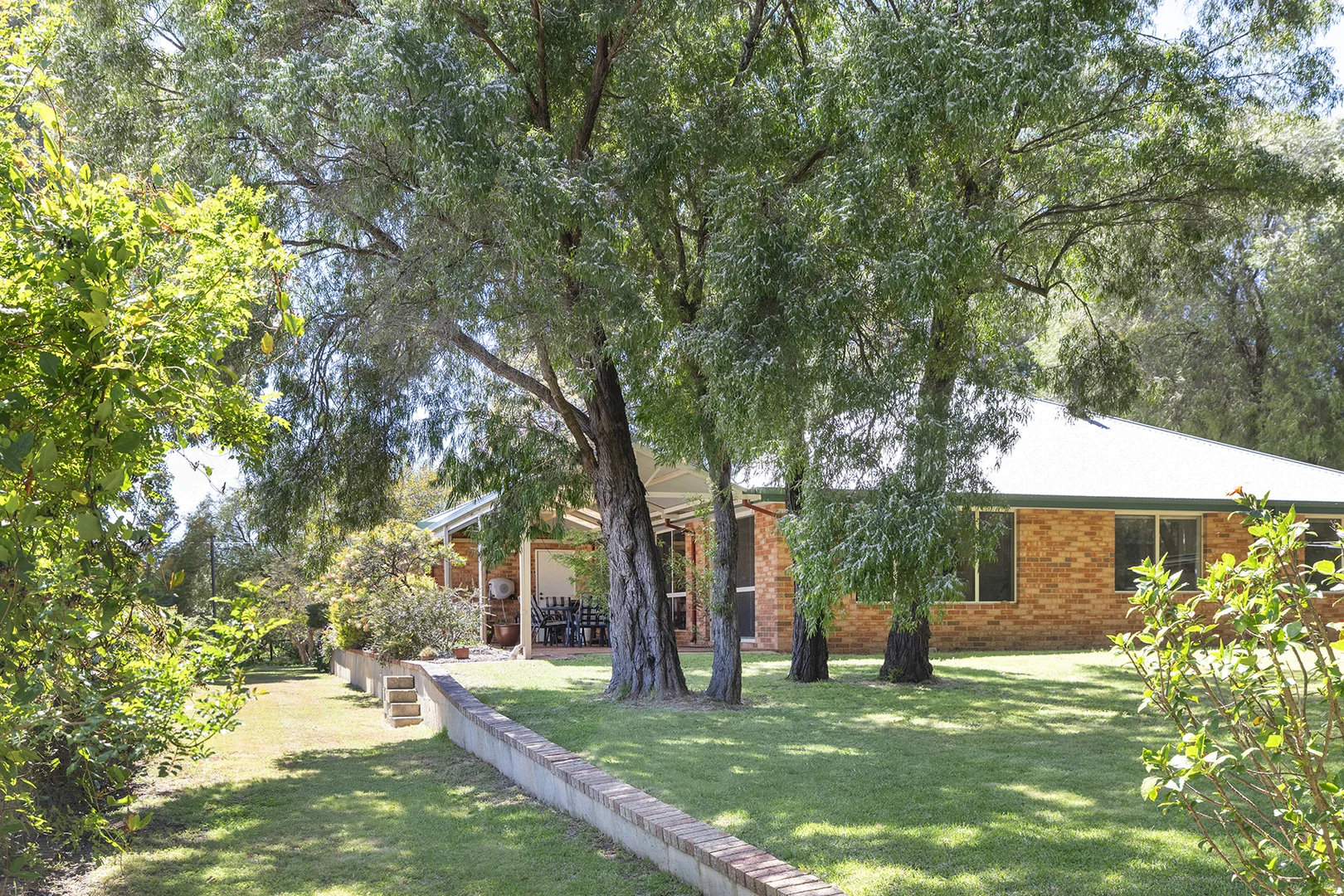 Image 20