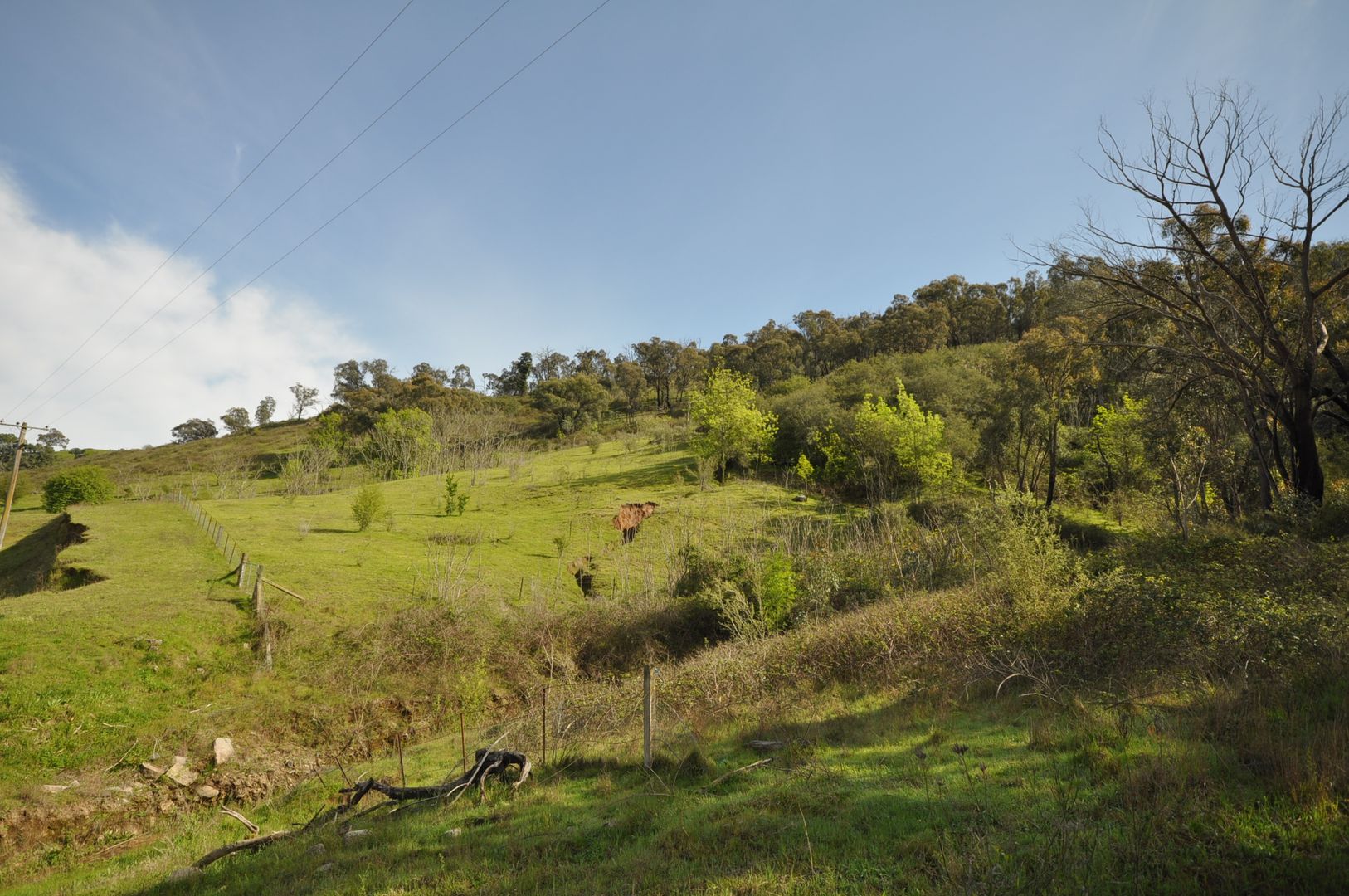 2 River Road, Welaregang NSW 2642, Image 2