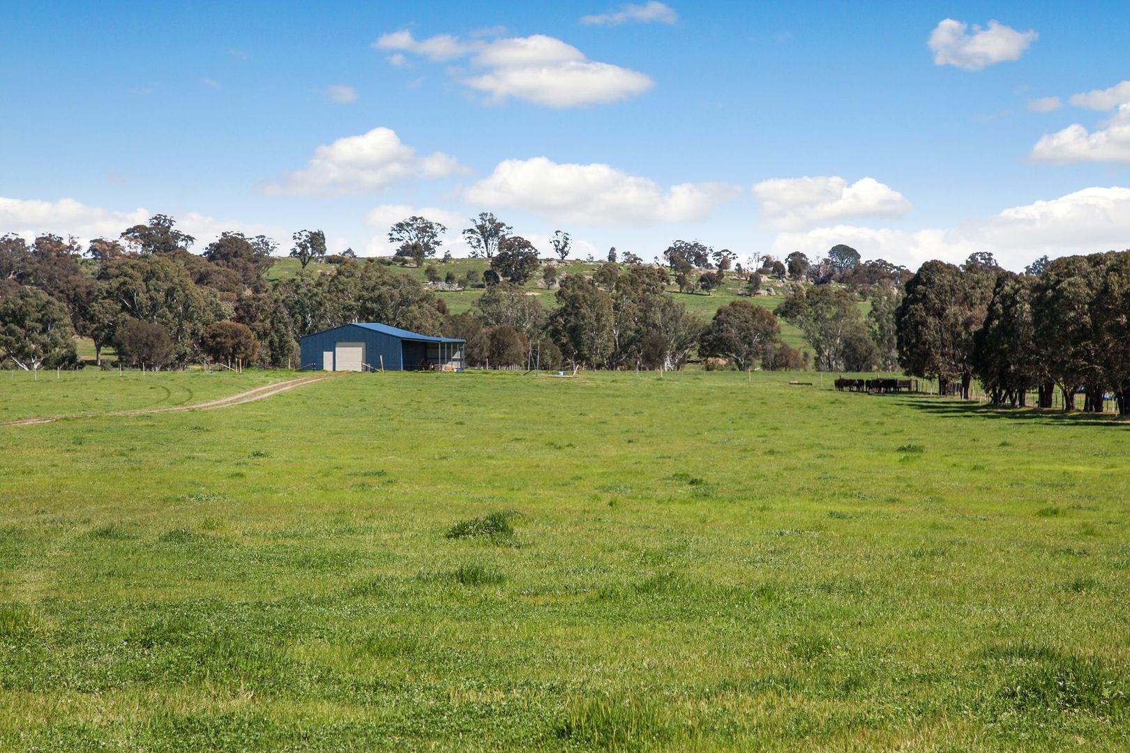 265 Baringhup Road, Baringhup VIC 3463, Image 2