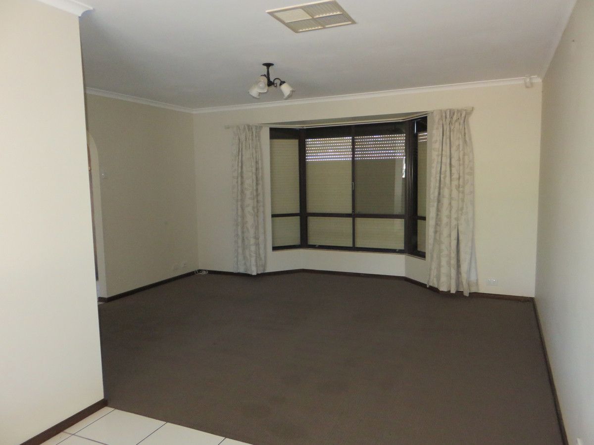 26 Window Road, Willaston SA 5118 House For Rent Domain