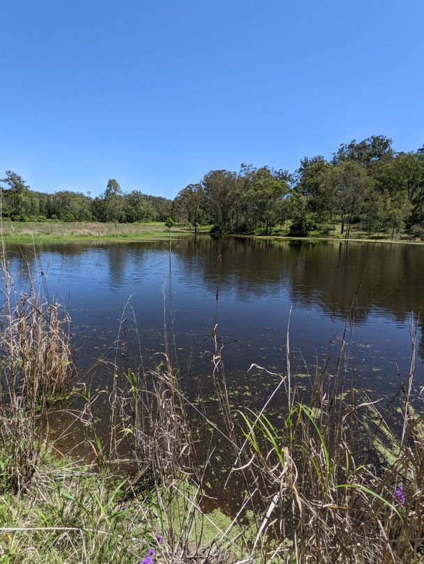 9 Gosper Road, Murphys Creek QLD 4352 House for Sale Domain