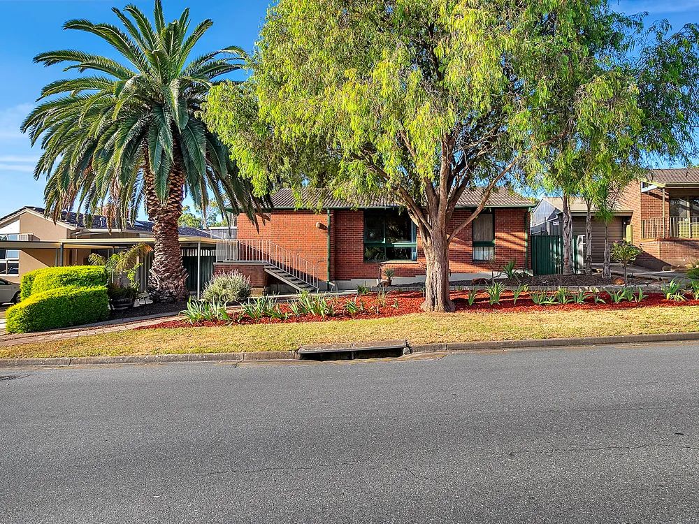 6 Tilley Drive, Surrey Downs SA 5126 House For Rent Domain