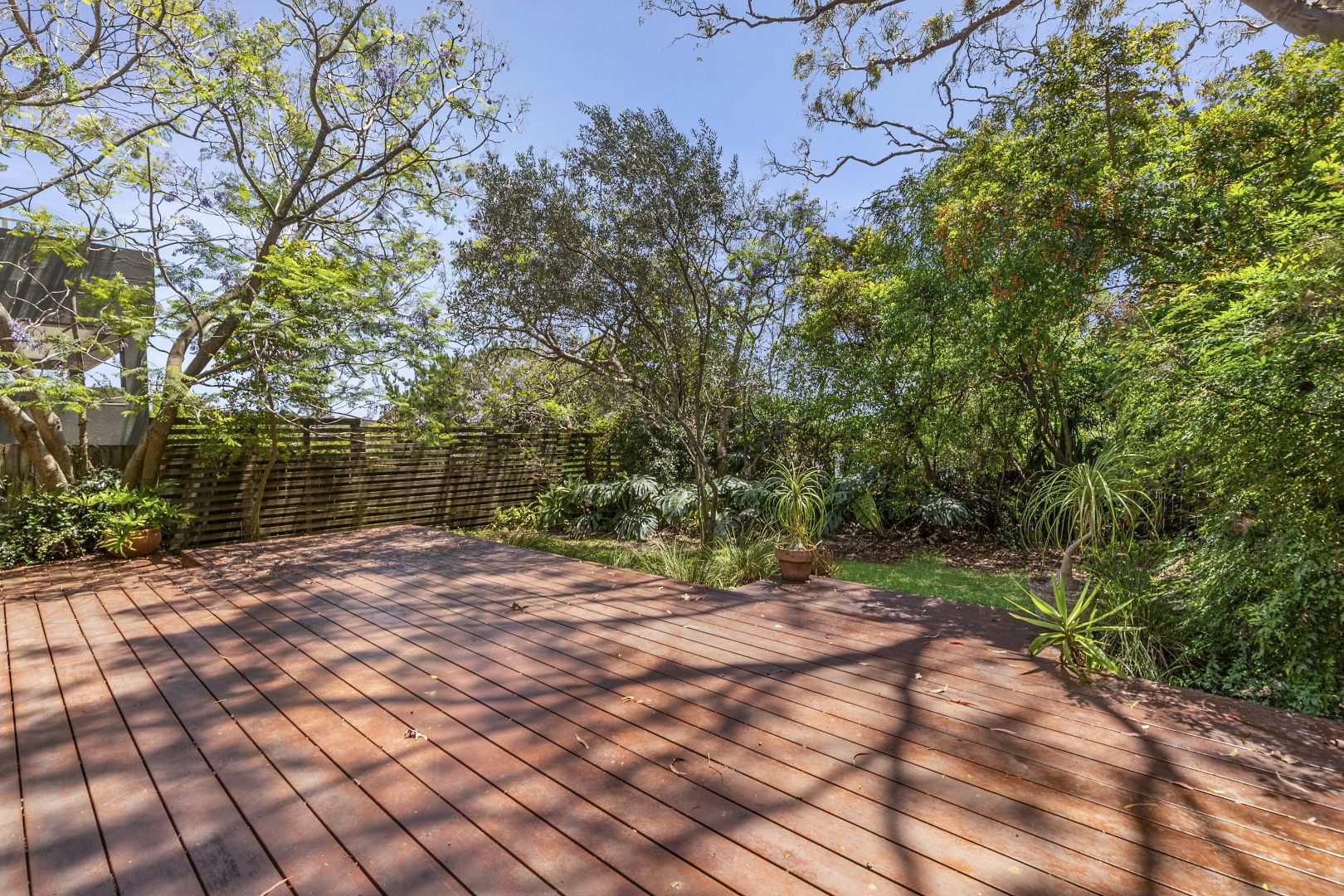 3/14 Ethel St, Balgowlah NSW 2093 Apartment For Rent Domain