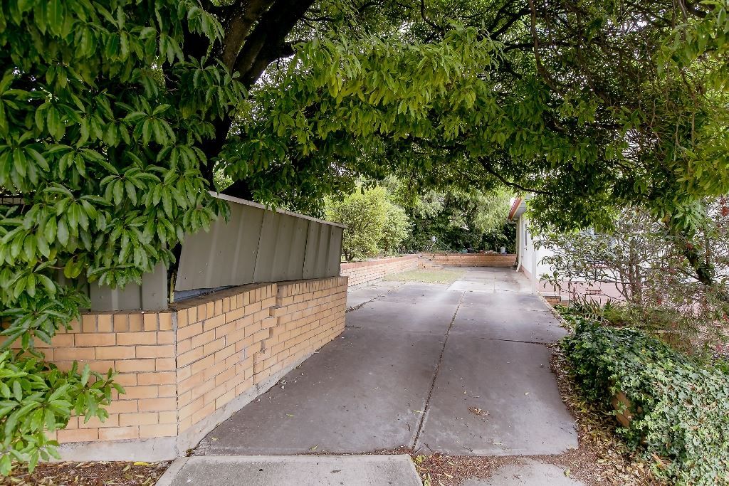 5 Wangary Terrace, Seaview Downs SA 5049, Image 2