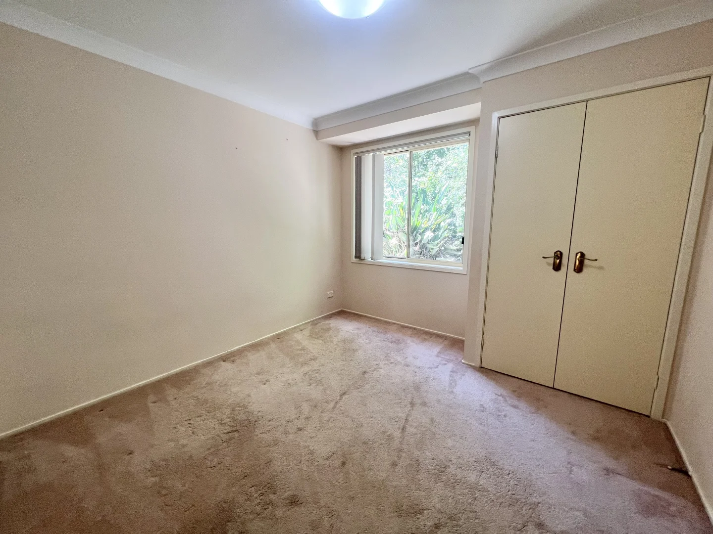 Additional image 12 of 139 Dairy Road, The Oaks NSW 2570