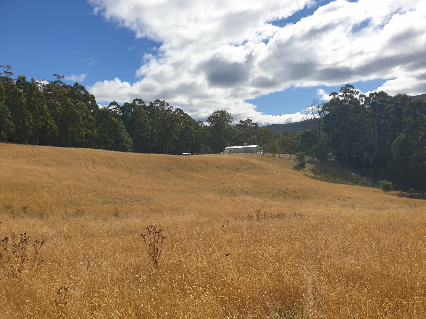 Additional image 9 of Lots 1 & 3 Plummers Road, Southport TAS 7109