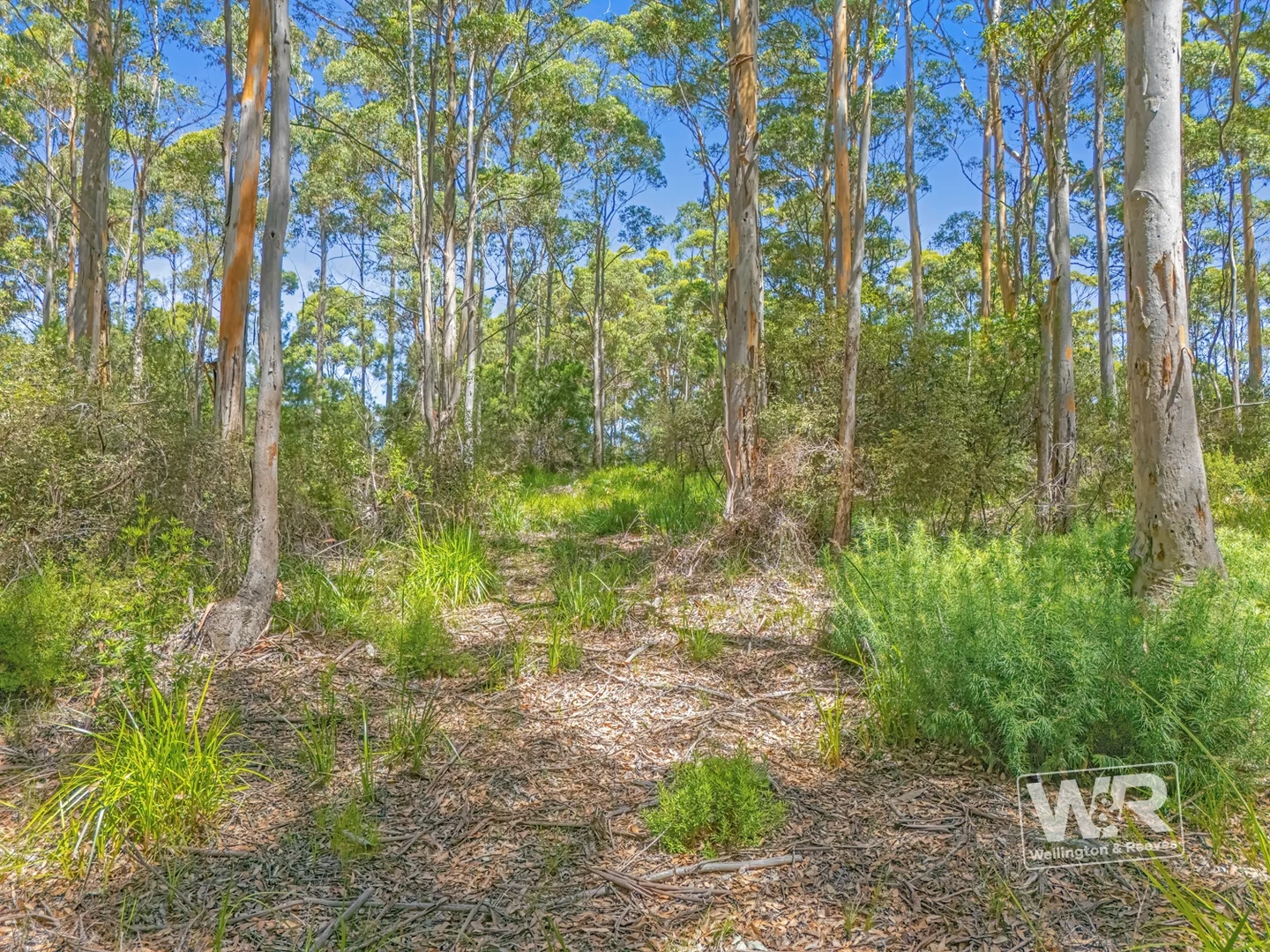 Additional image 7 of Shadforth WA 6333