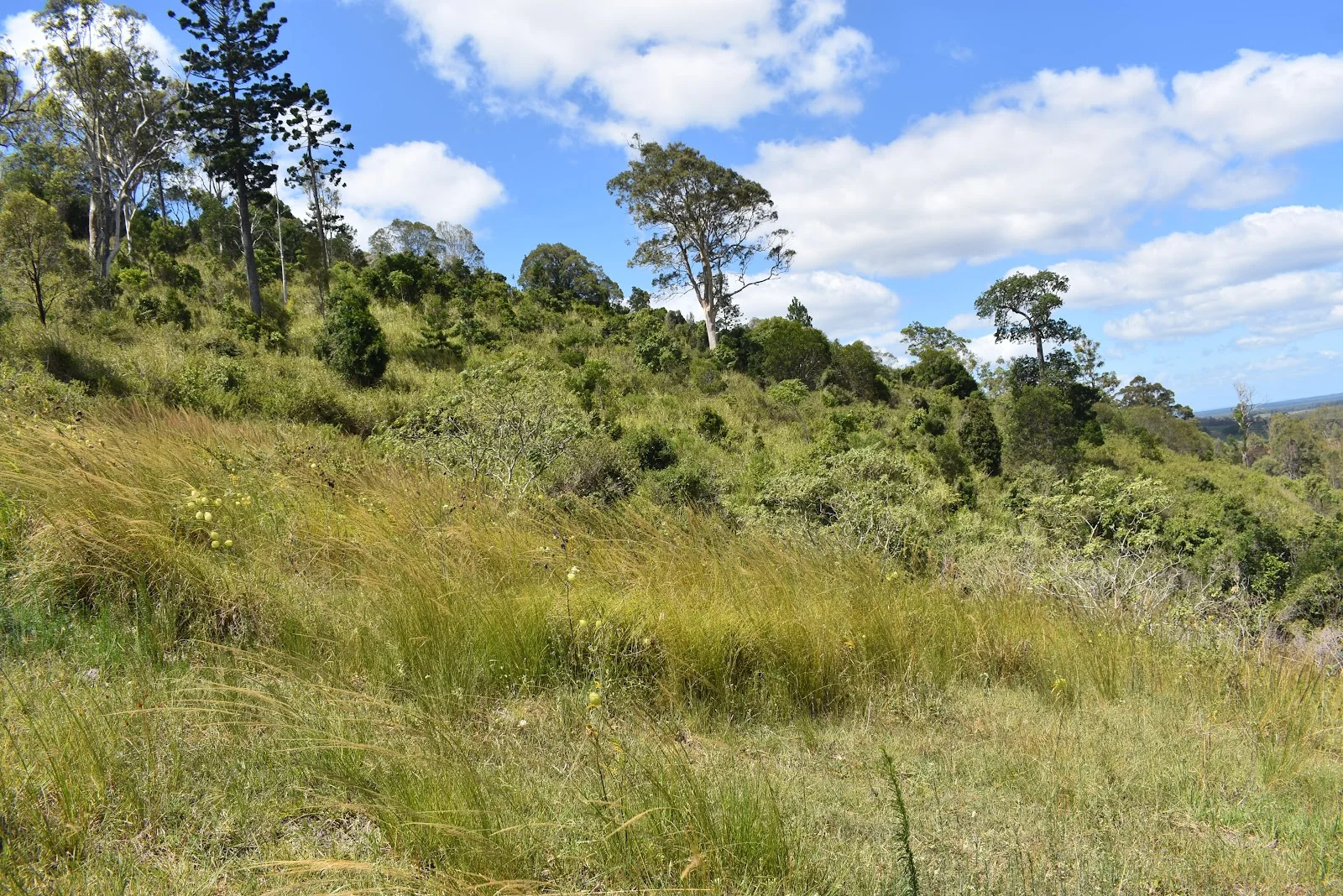 Additional image 11 of 35 Bakers Road, Bauple QLD 4650