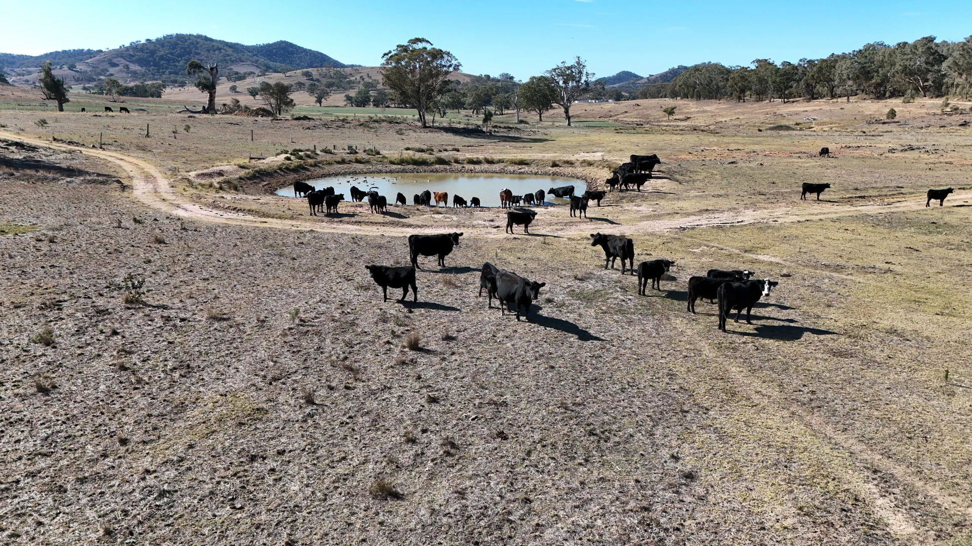 Additional image 6 of Gulgong NSW 2852