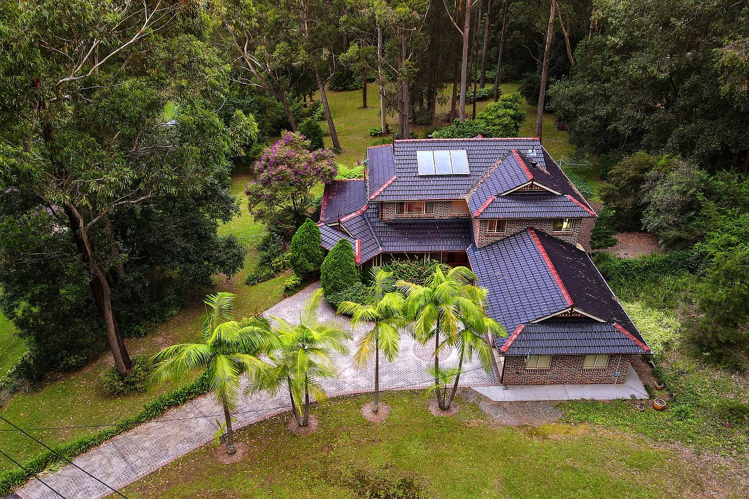 16 Bangalow Close, Tumbi Umbi NSW 2261, Image 1