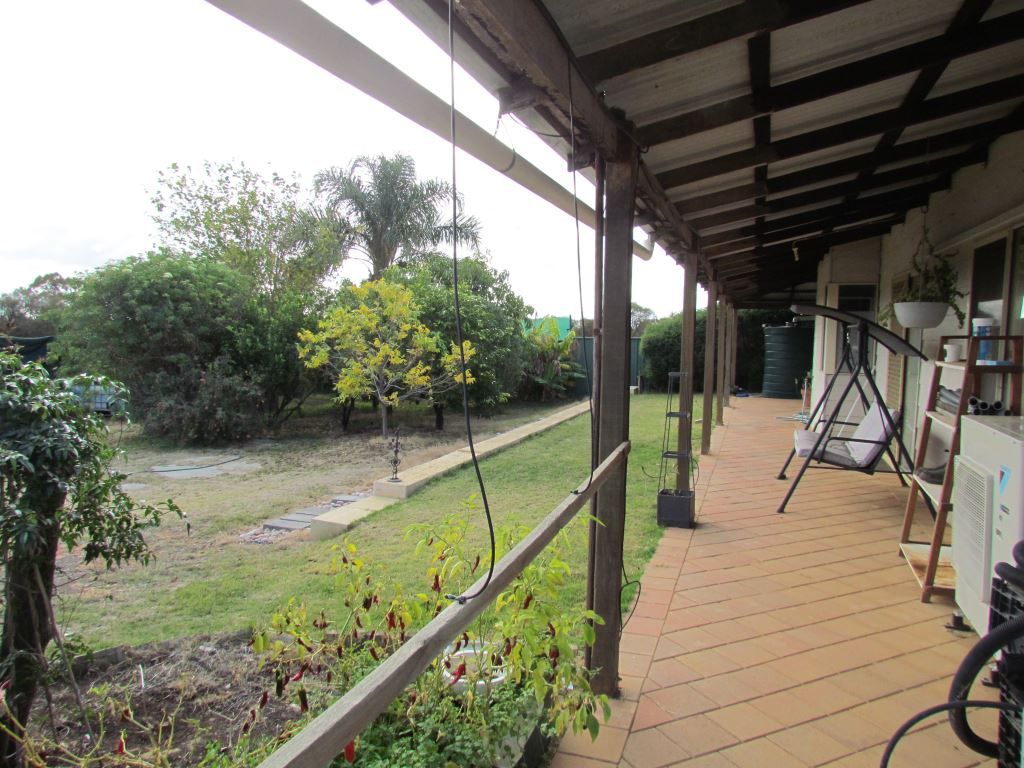 21735 MullewaWubin Road, Wubin WA 6612 Specialist Farm for Sale