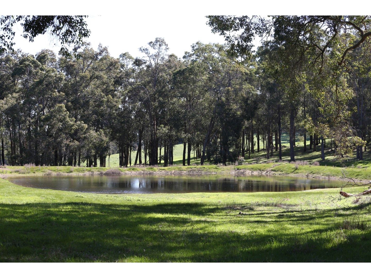 WL2638 Worsley Back Road, Allanson WA 6225, Image 0