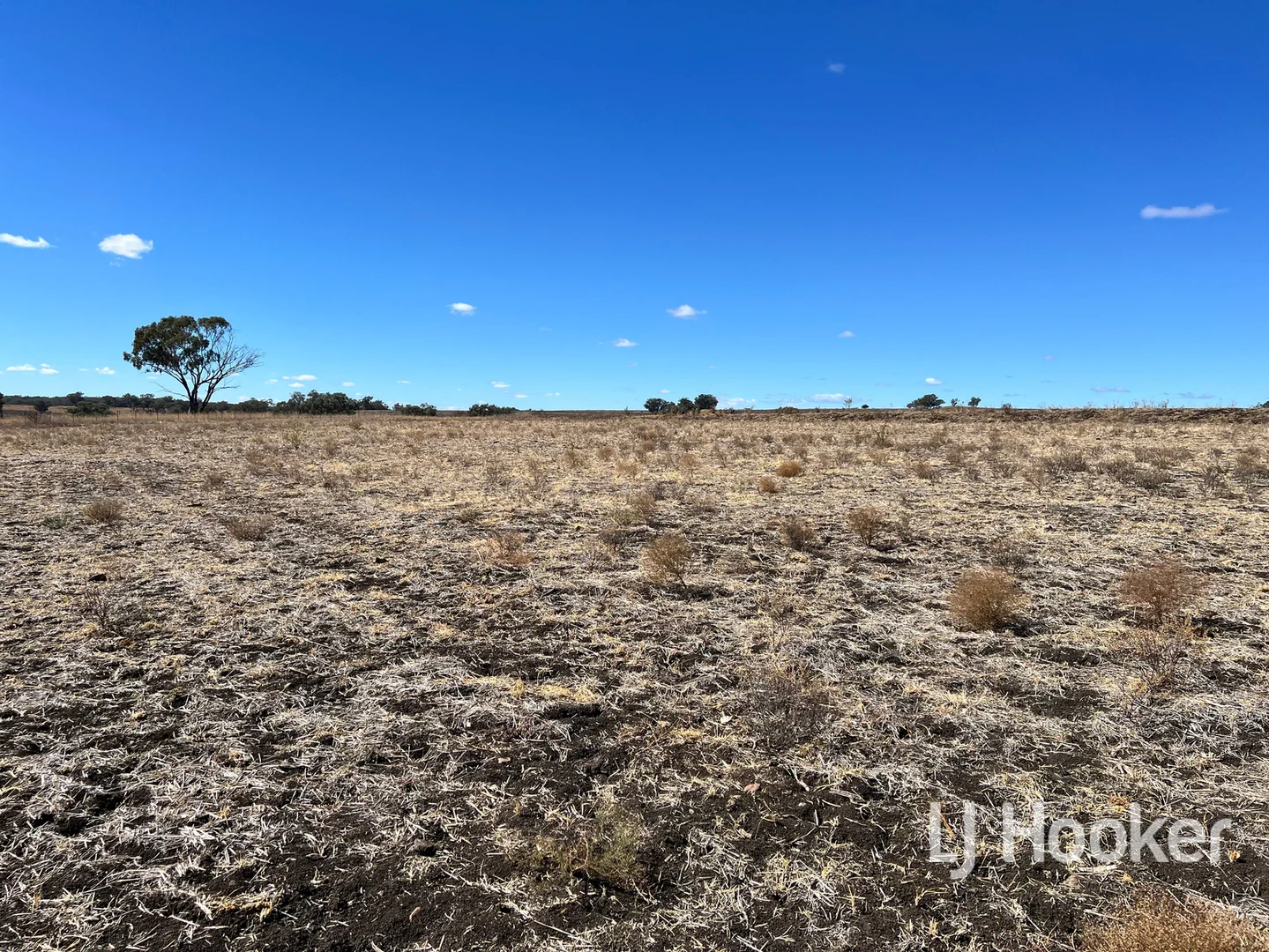 Additional image 6 of 154 Leaders Lane, Inverell NSW 2360