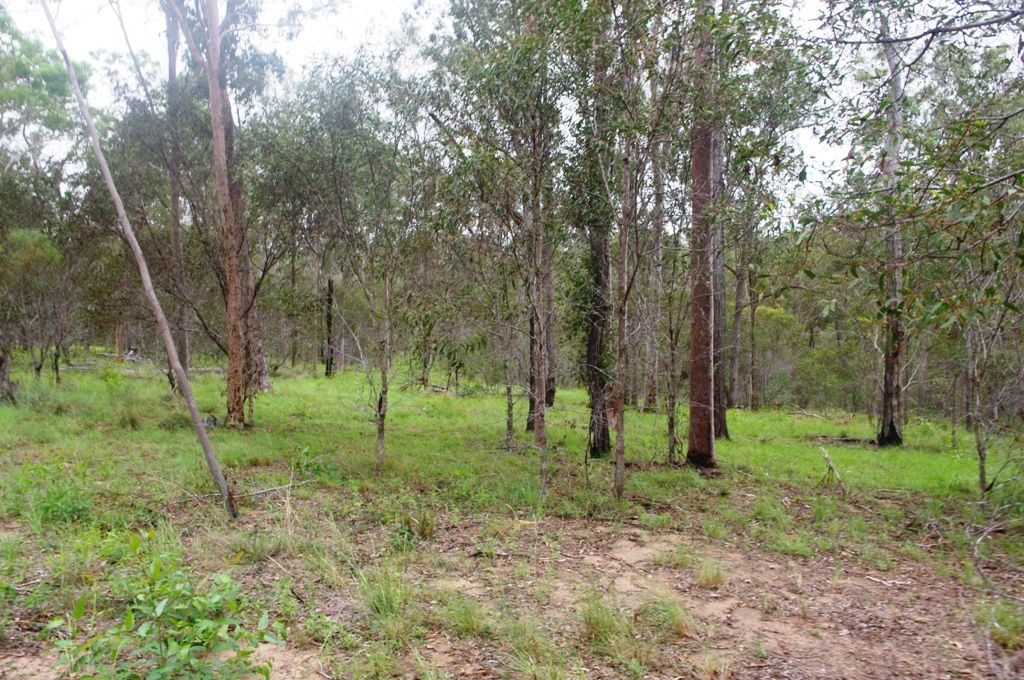 Lot 1 Lynne Drive, Curra QLD 4570, Image 2