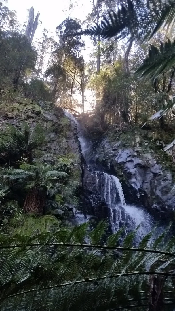 Image 18
