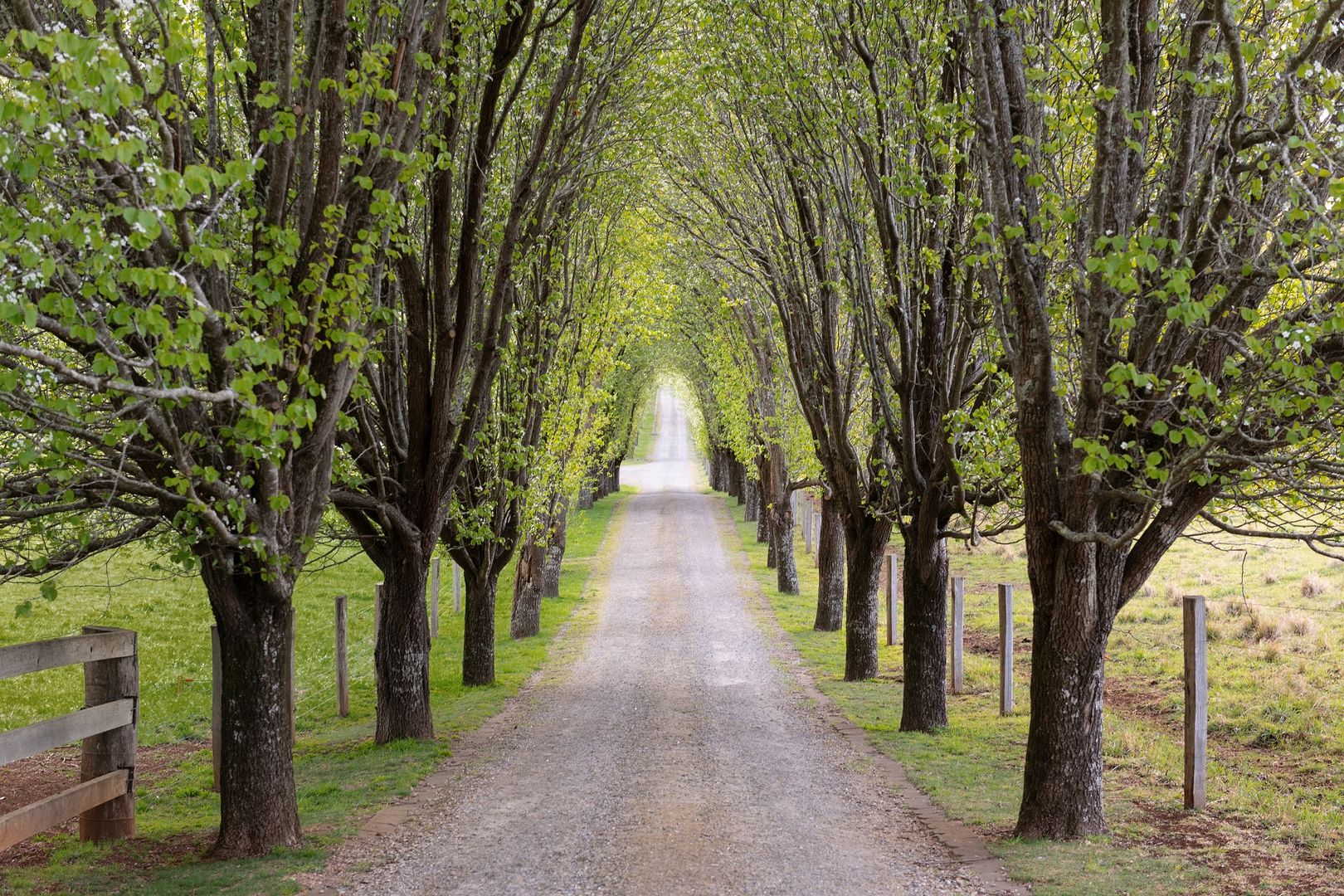 866868 Sheepwash Road, Avoca NSW 2577 House for Sale Domain