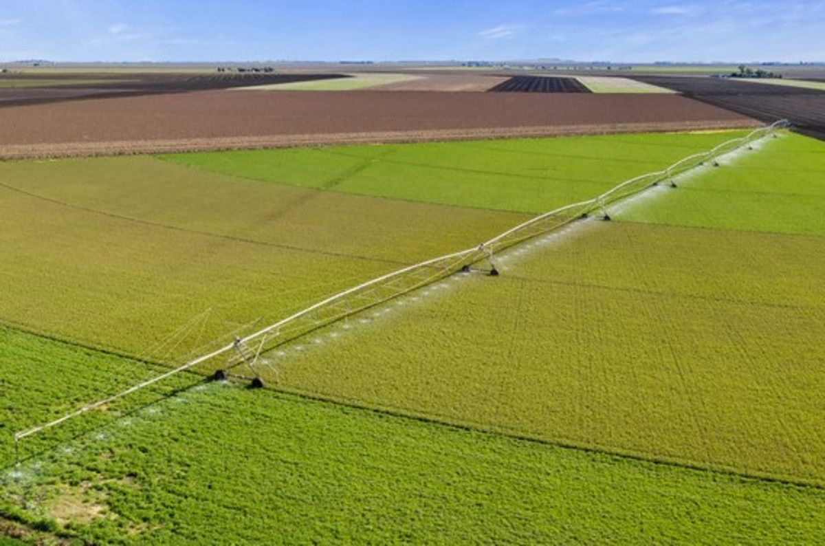 Rural in 250 Clifton Leyburn Road, CLIFTON QLD, 4361