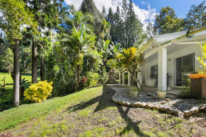 Picture of 51 High Chapparal Road, KURANDA QLD 4881