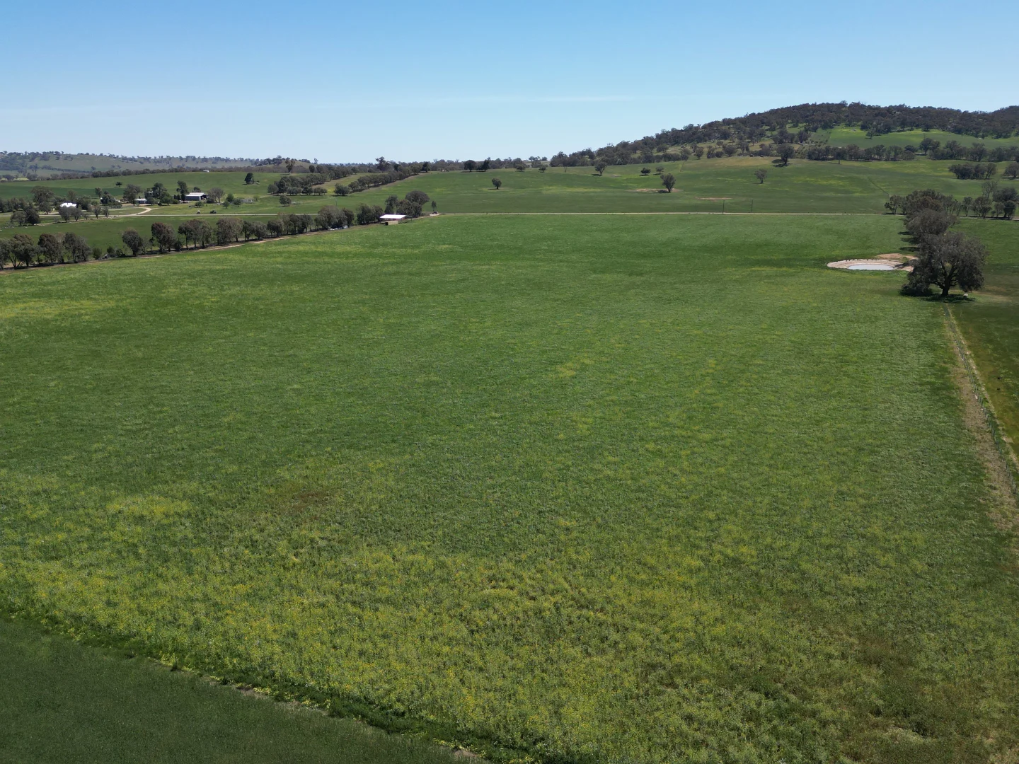 Additional image 28 of 798 Bethel Road, Glenellen NSW 2642