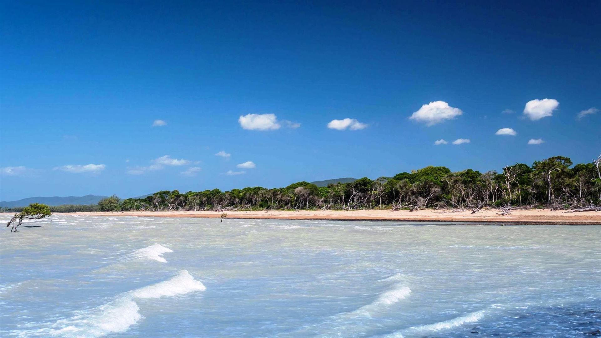 Carmila QLD 4739 Farm for Sale Domain