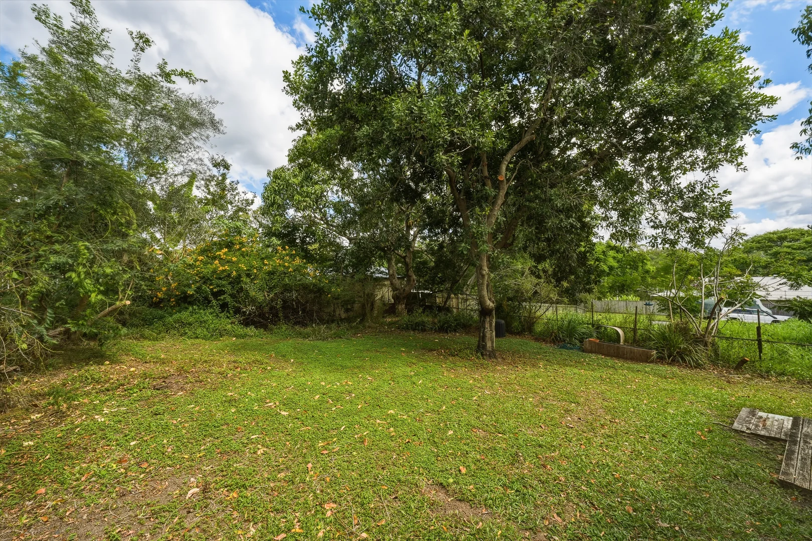 Image 13