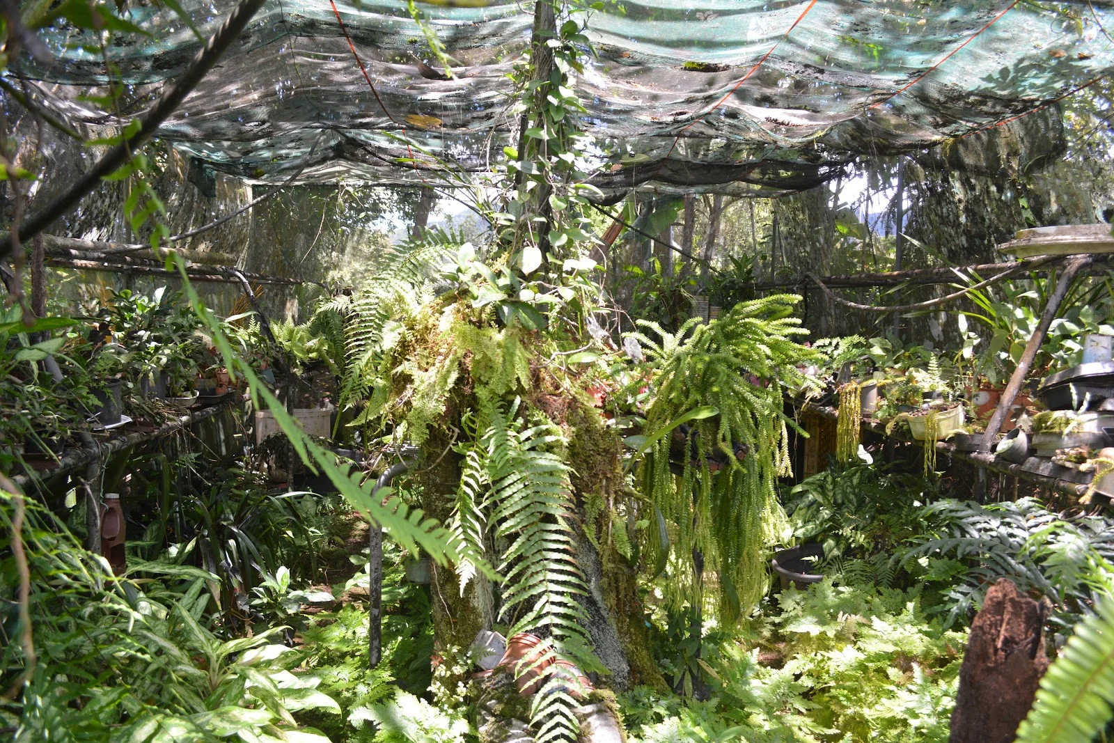 Image 59
