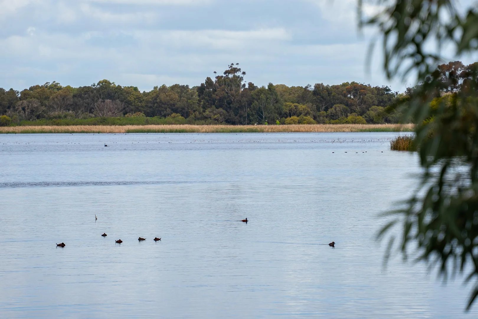 Image 9