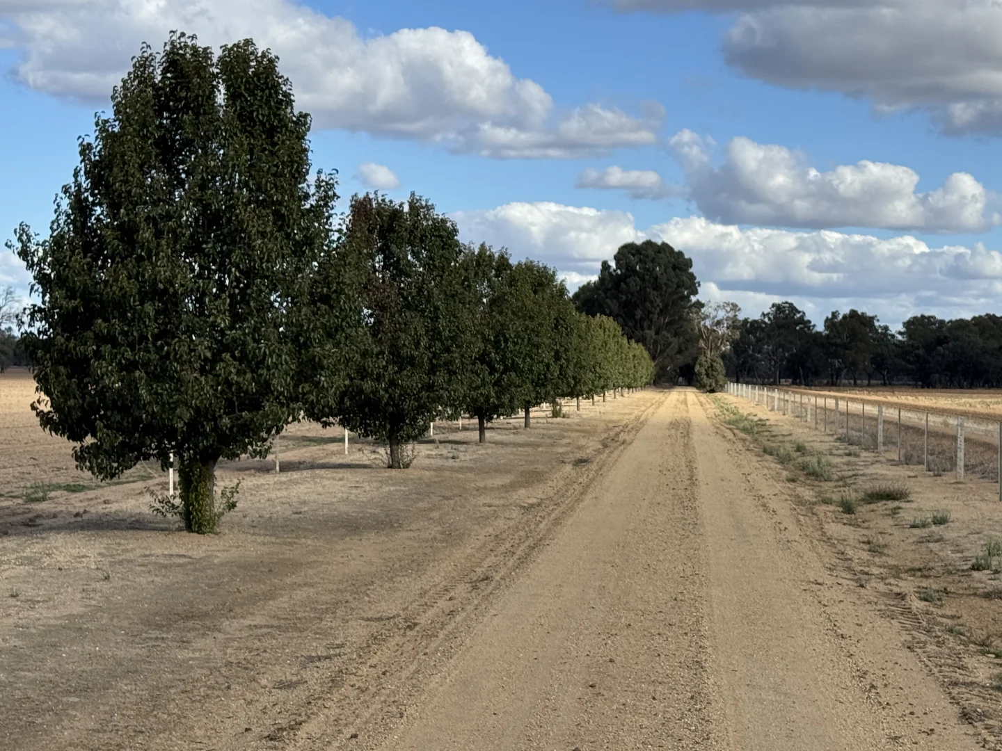 Image 33