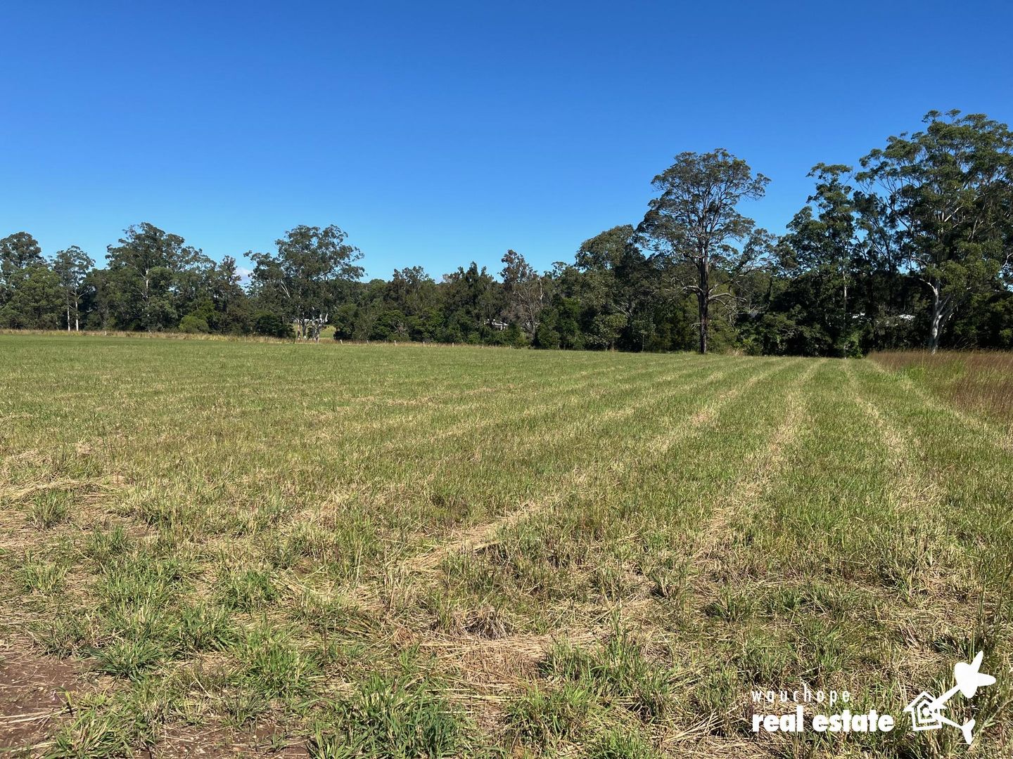 Lot 84 Stanley Drive, Beechwood NSW 2446, Image 2