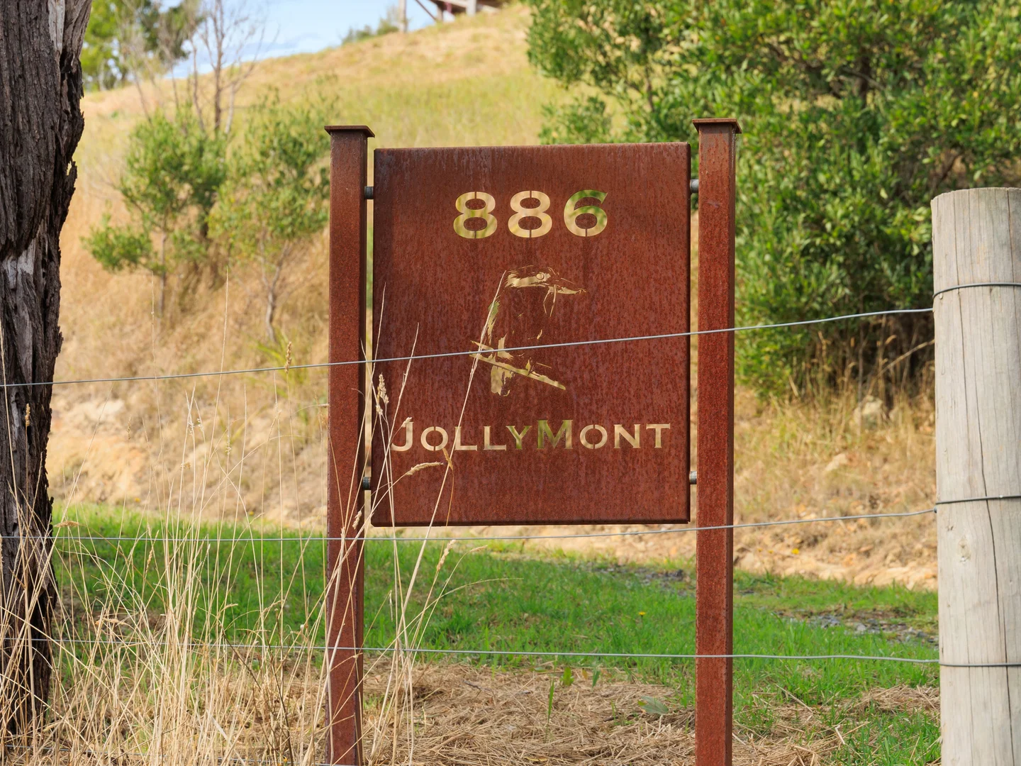 Image 12