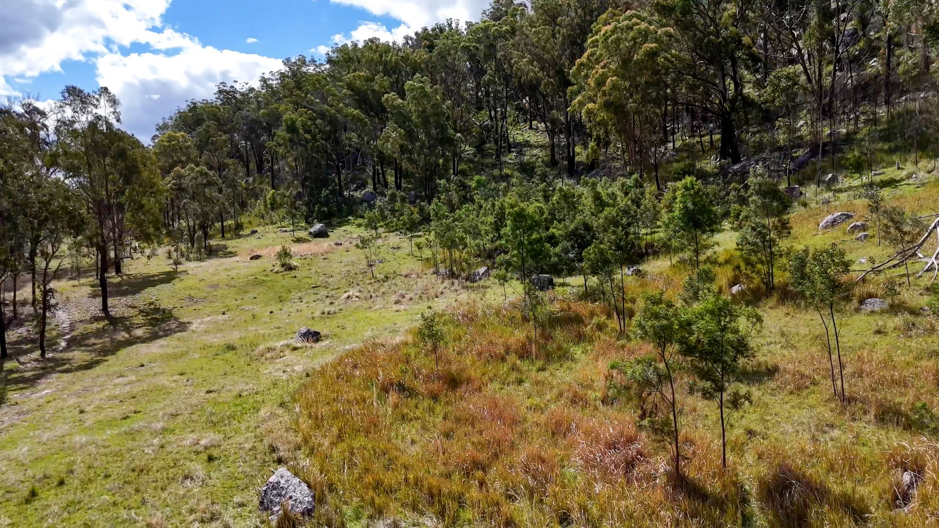 Lot 510 Scrub Road, Tenterfield NSW 2372 - House for Sale - $795,000